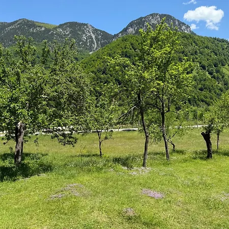 Bujtina Frati *